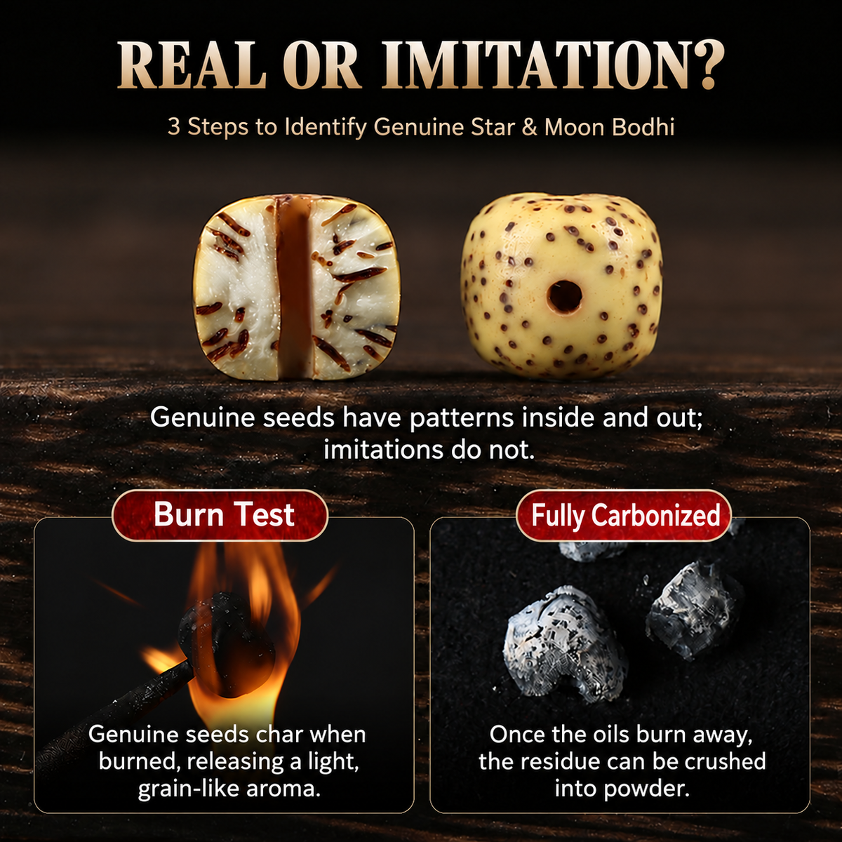 English supplier illustration showing seed cross-section and burn-test comparison